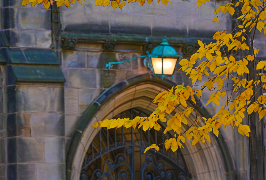 Terminal M.A./M.S. Programs | Department of Statistics and Data Science